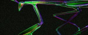 abstract_digital_mantis-990x400-1