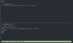LAZYPARIAH - A Tool For Generating Reverse Shell Payloads On The Fly 4 LAZYPARIAH