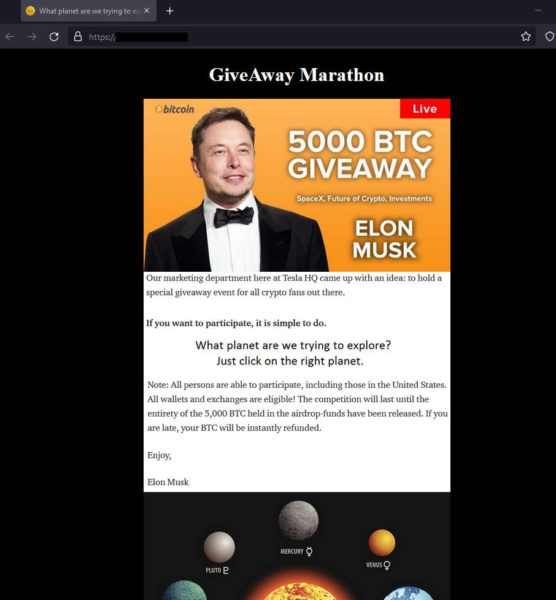 elonmarathon3 556x600 1