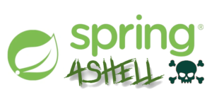 Spring4Shell