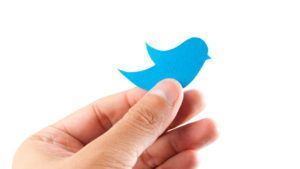 Hand holding paper bluebird on white isolated. Social media concept.
