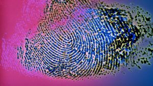 Fingerprint