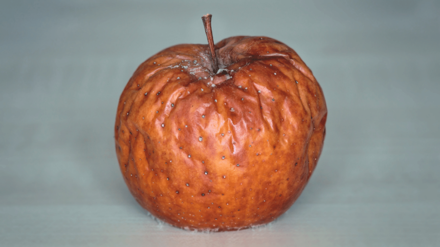 Rotten apples banned from the App store 1 rotten apple 900x506 1