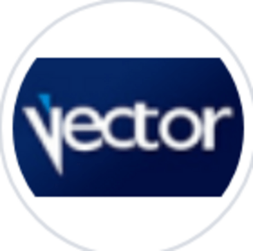 vectorinf com br victim