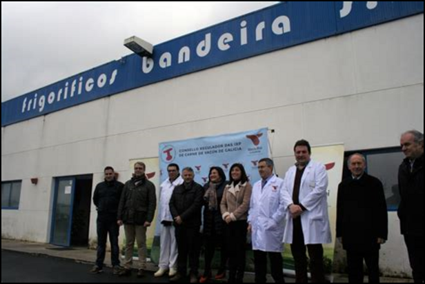 frigobandeira com victim