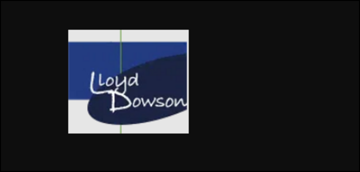 lloyddowson co uk victim