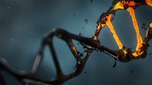 CISA warns of critical bugs in Illumina DNA sequencing systems 11 dna