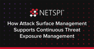 How Attack Surface Management Supports Continuous Threat Exposure Management 13 netspi