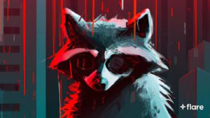 flare raccoon header image