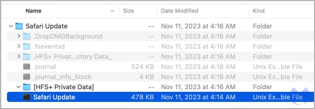 Atomic Stealer malware strikes macOS via fake browser updates 3 Atomic stealer disguised as a Safari update