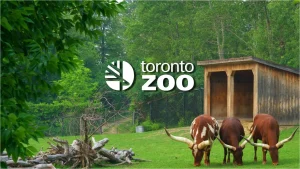 Toronto_Zoo