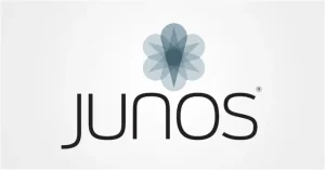 Juniper Networks Releases Urgent Junos OS Updates for High-Severity Flaws 12 juneos