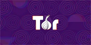 Tor headpic