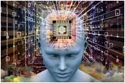 brain
