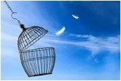 Escaping a birdcage in the clouds