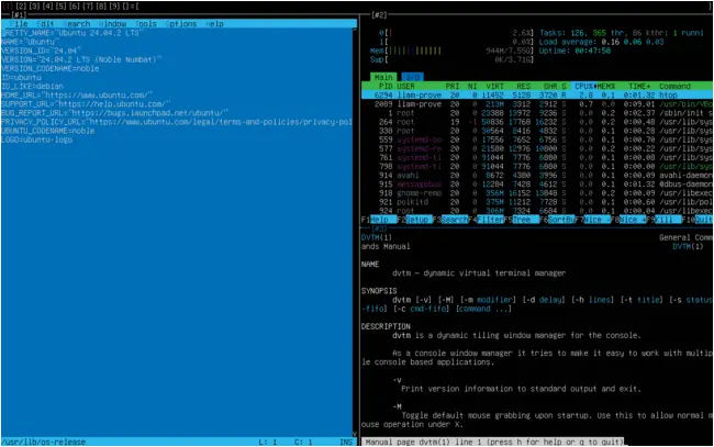 Dvtm, showing its status bar at the top, Tilde, Htop, and its manpage.