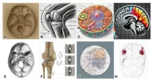 595d5c6c0636ef3952f2da62e8ef9fac8894c90b20ca36499a6acf59714ac50c