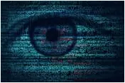 stalker online