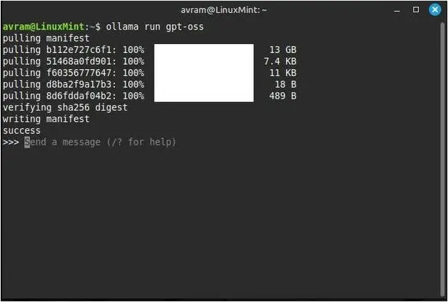Run Ollama on Linux